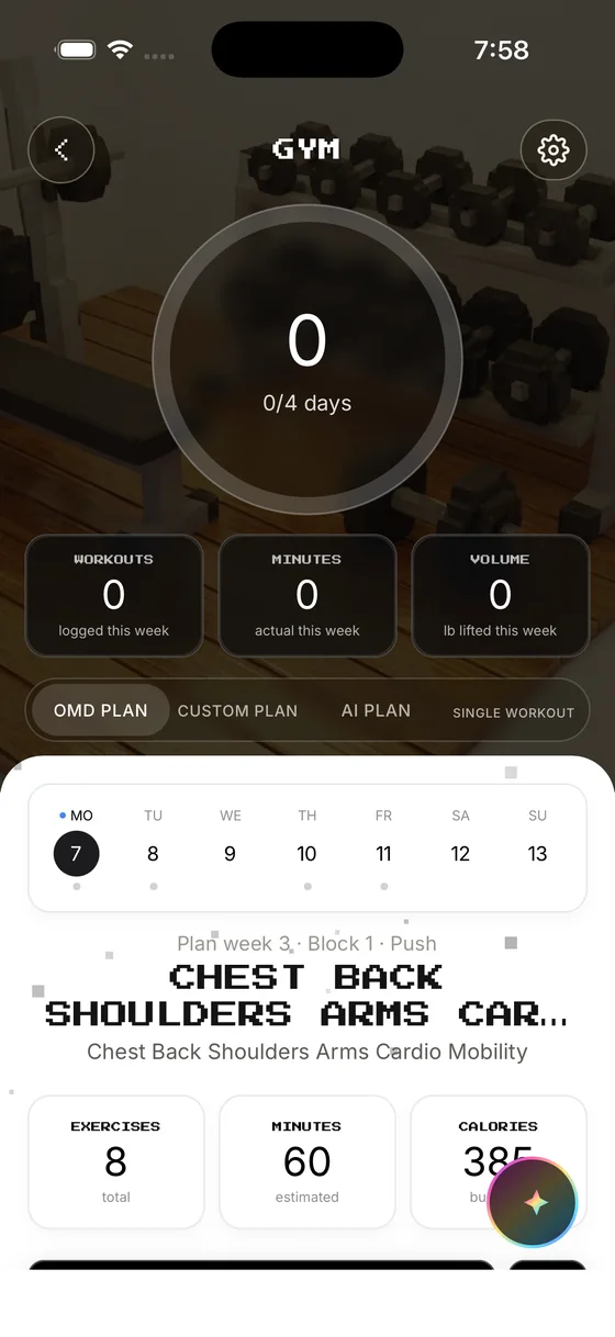 Gym — OMD plan